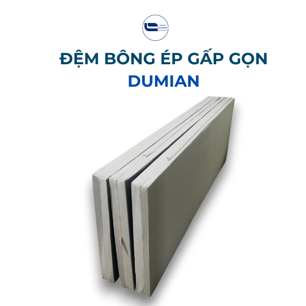 Đệm Bông Ép Gấp Gọn GoldCat
