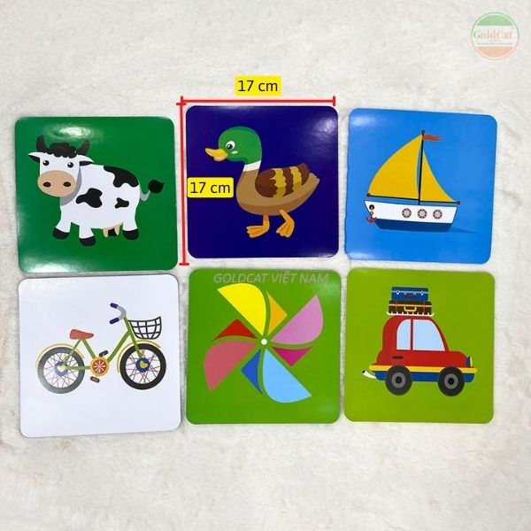 bộ thẻ học kích thích thị giác