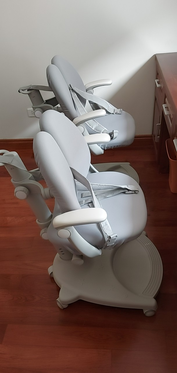 Review ghế chống gù GoldCat có nên mua hay không ?