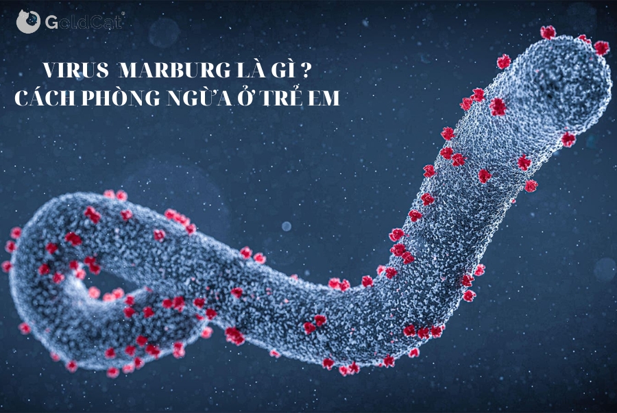 Virus Marburg và Ebola : Triệu chứng và cách phòng ngừa ở trẻ nhỏ