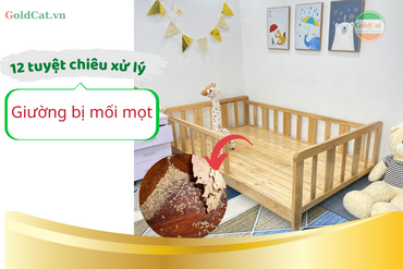 12 tuyệt chiêu xử lý giường bị mối mọt đơn giản hiệu quả