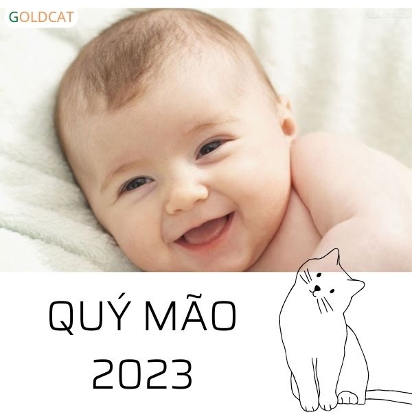 những điểm cần lưu ý khi đặt tên cho bé trai Qúy Mão 2023