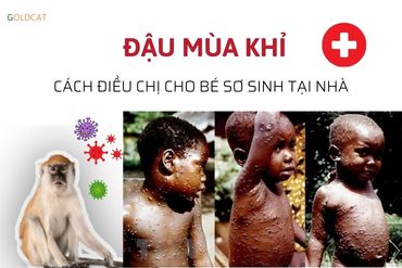 Đậu mùa khỉ và cách nhận biết điều trị cho trẻ sơ sinh tại nhà