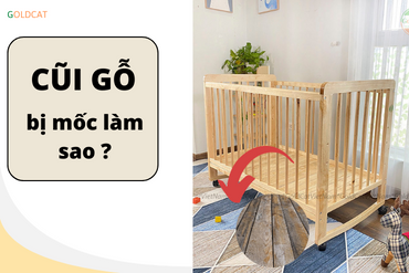 Nguyên nhân cũi bị mốc và cách khắc phục cũi gỗ mốc