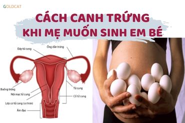 Cách canh trứng hiệu quả nhất cho mẹ muốn sinh bé năm Quý Mão
