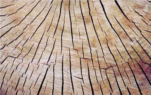 cách xử lý khi gỗ bị nứt lẻ