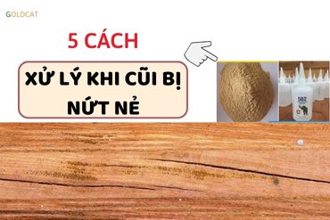 5 mẹo xử lý cũi gỗ bị nứt tại nhà đơn giản nhưng hiệu quả