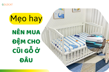  Nên mua nệm cho cũi gỗ ở đâu ?