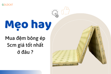 Mua đệm bông ép 5cm giá tốt nhất ở đâu