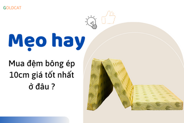 Nơi bán đệm bông ép 10cm giá tốt nhất ở đâu