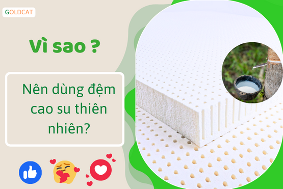 Vì sao nên dùng đệm cao su thiên nhiên?