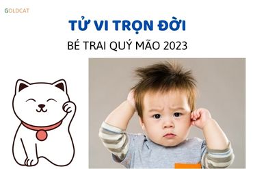 Xem tử vi trọn đời con trai tuổi Quý Mão chính xác nhất