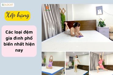 Các loại đệm gia đình được dùng phổ biến nhất hiện nay là gì ?