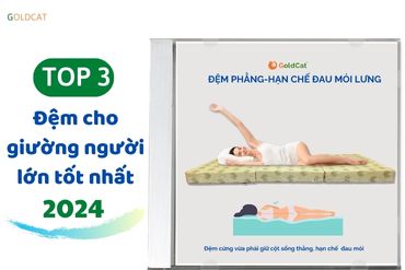 Đệm cho giường người lớn nên dùng chất liệu nào ?