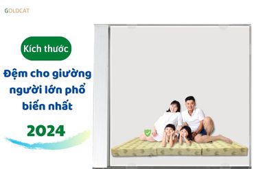 Các kích thước đệm tiêu chuẩn nhất thông dụng nhất hiện nay