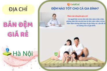Những địa chỉ bán đệm tốt nhất ở Hà Nội hiện nay