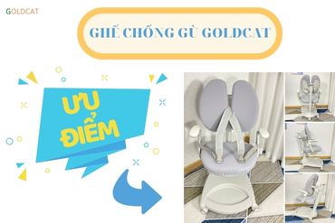 Ghế chống gù GoldCat có ưu điểm nổi trội nào ?