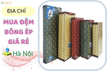Mua đệm bông ép ở giá rẻ nhất ở Hà Nội 