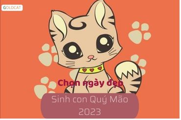 Tổng hợp những ngày đẹp sinh con năm 2023 theo dương lịch