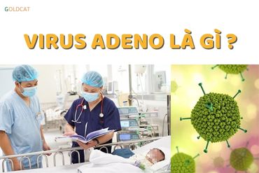 Virus Adeno là gì ? Đặc điểm bệnh Adeno đến trẻ sơ sinh