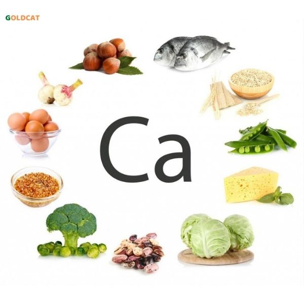 dinh dưỡng cho bé tăng chiều cao