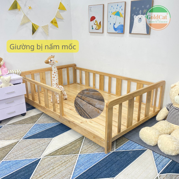 giường bị ẩm mốc