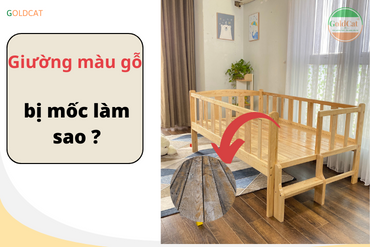 Vì sao giường màu gỗ tự nhiên lại dễ bị ẩm mốc ?