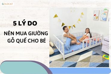 5 lý do nên chọn mua giường gỗ quế tự nhiên cho trẻ em