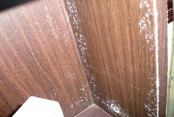 gỗ bị ẩm mốc do thời tiết