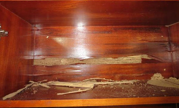 cũi gỗ cho trẻ em