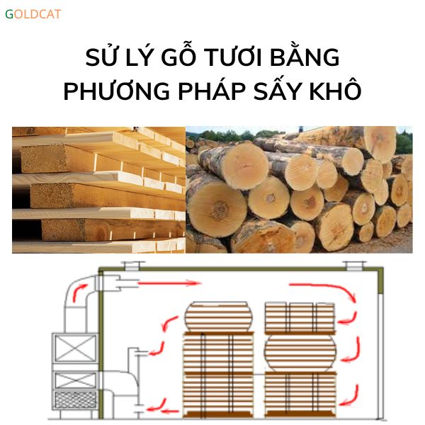 xử lý gỗ tươi bằng phương pháp xấy nhiệt