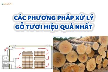 Các phương pháp xử lý gỗ tươi tự nhiên phổ biến nhất