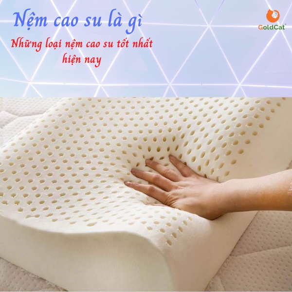Nệm cao su là gì ? Các loại đệm cao su trên thị trường hiện nay