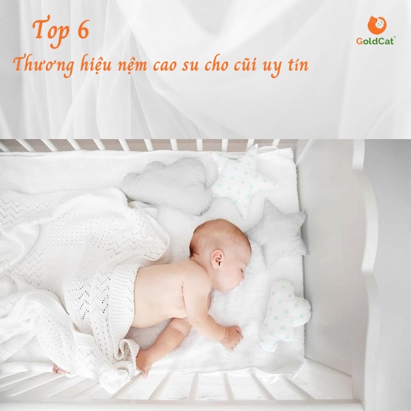 Tổng hợp những nơi bán đệm cao su non cho cũi tốt nhất