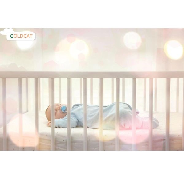 nôi cũi trẻ em goldcat