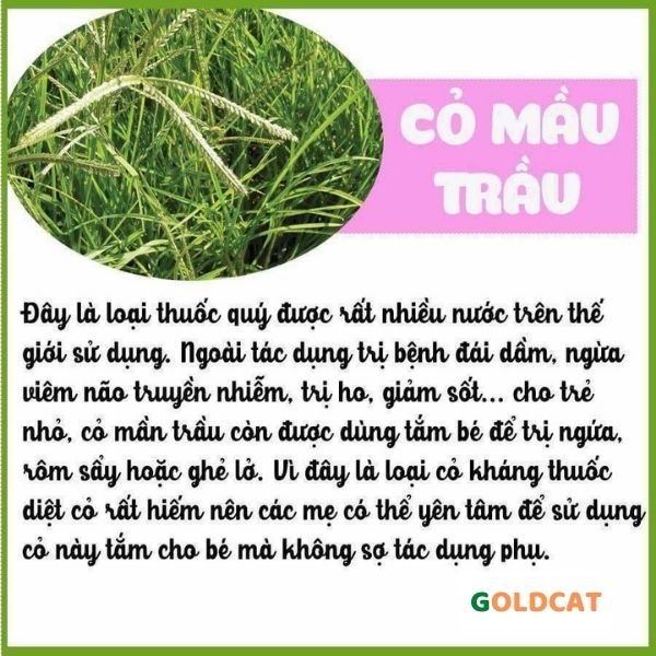 lá tắm cho bé