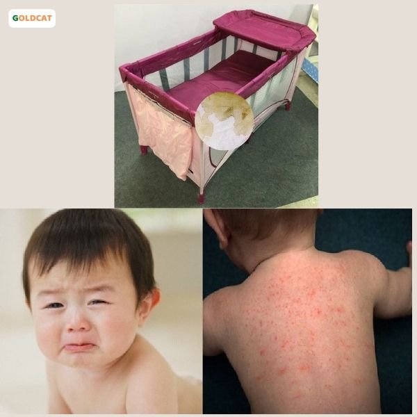 nôi cũi cho bé goldcat