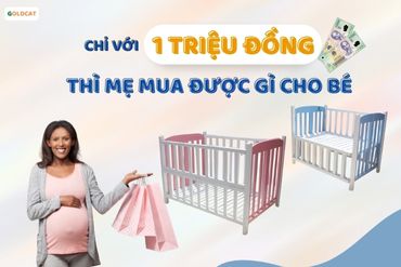 Nên mua nôi cũi nào cho bé trong tầm kinh phí 1 triệu đồng