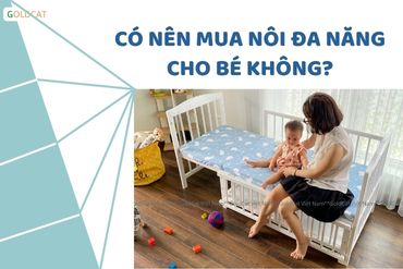 Có nên mua nôi em bé đa năng của GoldCat hay không ?