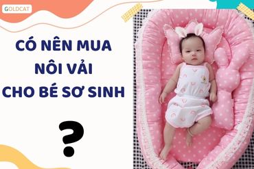 Có nên mua nôi sơ sinh cho bé hay không ?