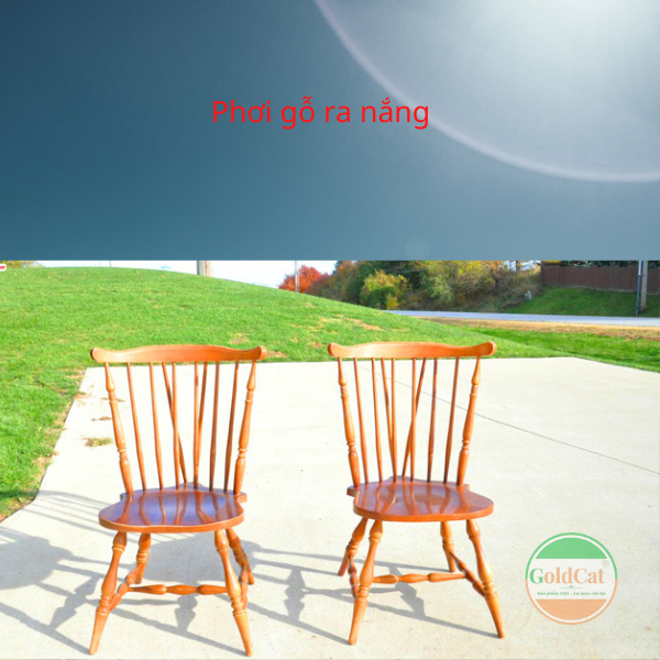 phơi gỗ bị cong vênh