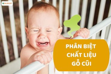 Phân biệt cũi gỗ thịt và gỗ công nghiệp thông qua mùi hôi của cũi
