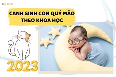 Canh sinh con Quý Mão chuẩn nhất theo khoa học