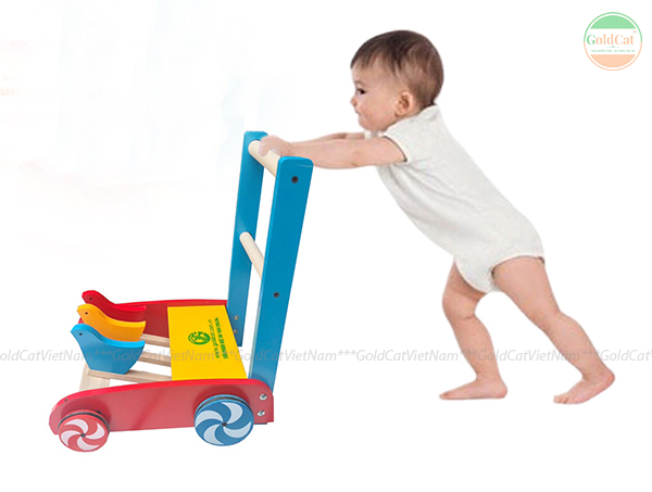 xe tập đi cho bé sơ sinh goldcat
