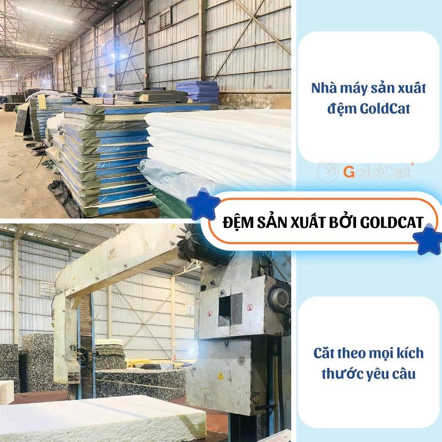 Đệm Cũi Cao Su Non Cho Bé Sơ Sinh GoldCat