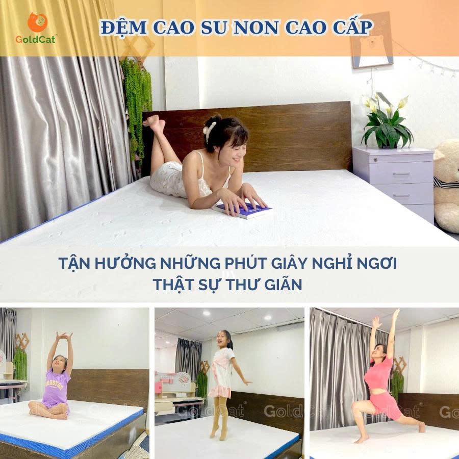 Đệm Cao Su Non Cho Giường GoldCat