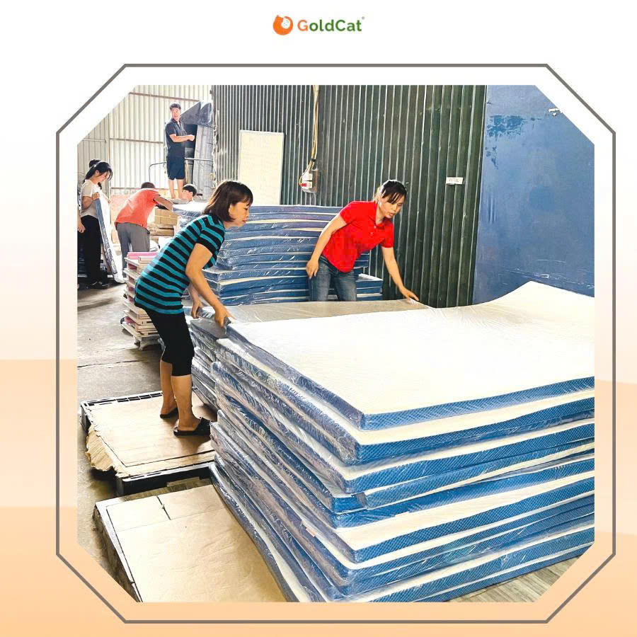 Đệm Cao Su Non Cho Giường GoldCat