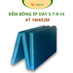 Đệm Bông Ép Gấp Gọn GoldCat Kích Thước 1M4X2M.