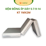 Đệm Bông Ép Gấp Gọn GoldCat Kích Thước 1MX2M.