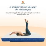 Đệm cao su cho giường trẻ em GoldCat